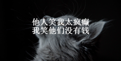 他人笑我太疯癫，我笑他们没有钱