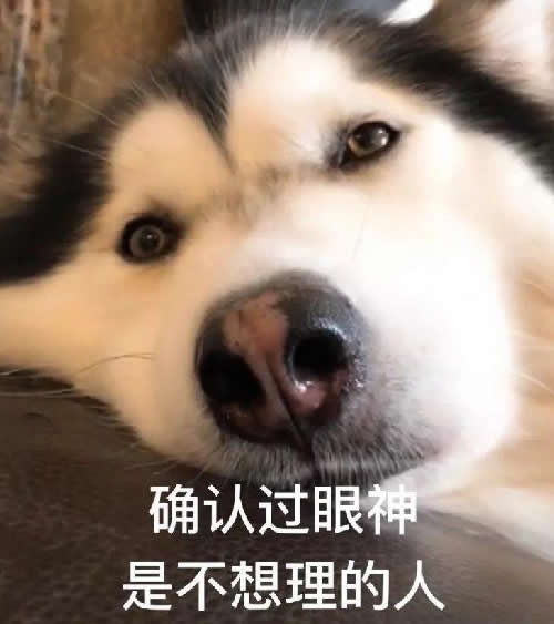 互联网职场人负重前行的一年 工作 IT公司 互联网 好文分享 第3张