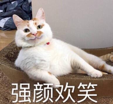 全马很简单的，吃吃走走就完赛了 生活感悟 心情感悟 好文分享 第4张