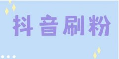 抖音在线下单评论，抖音热评自助下单